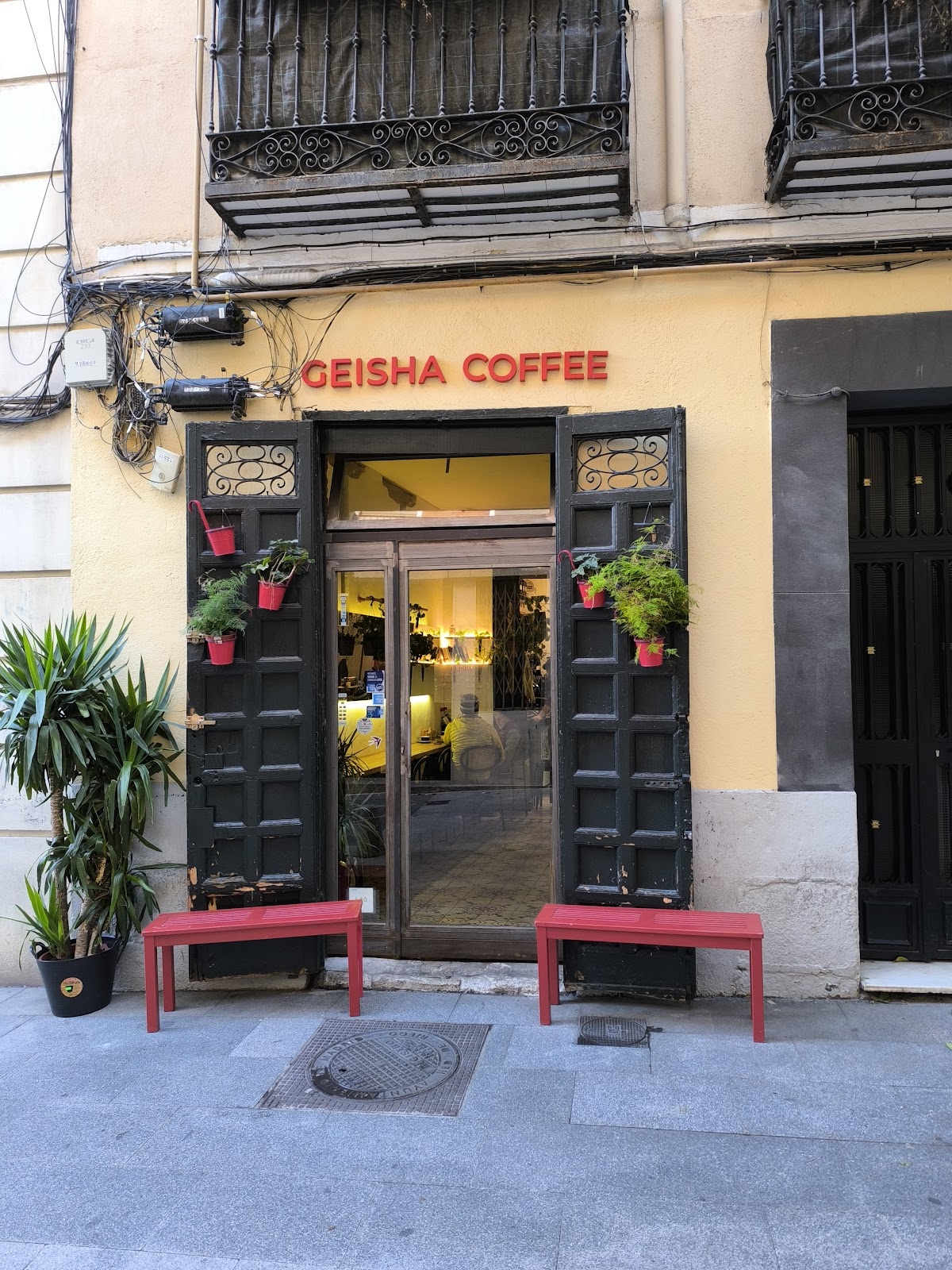 Geisha Specialty Coffee